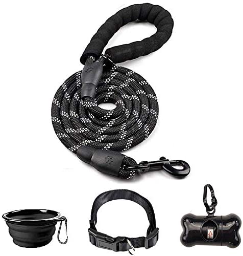 6 FT Thick Highly Reflective Dog Leash- Blue