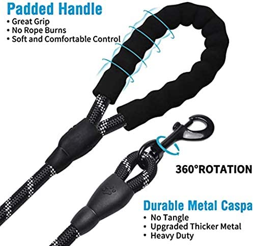 6 FT Thick Highly Reflective Dog Leash- Blue