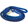 Blessed Blue - Dog Leash
