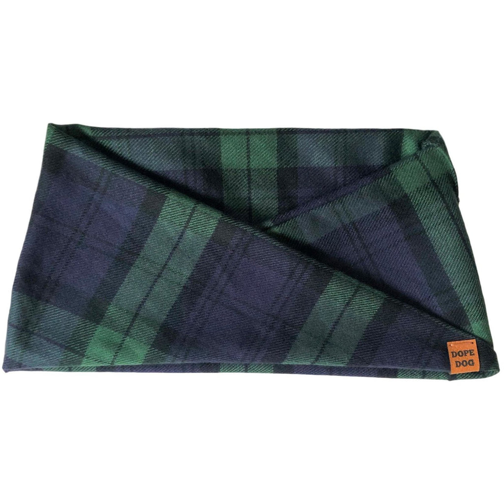 Feelin' Lucky Dog Scarf